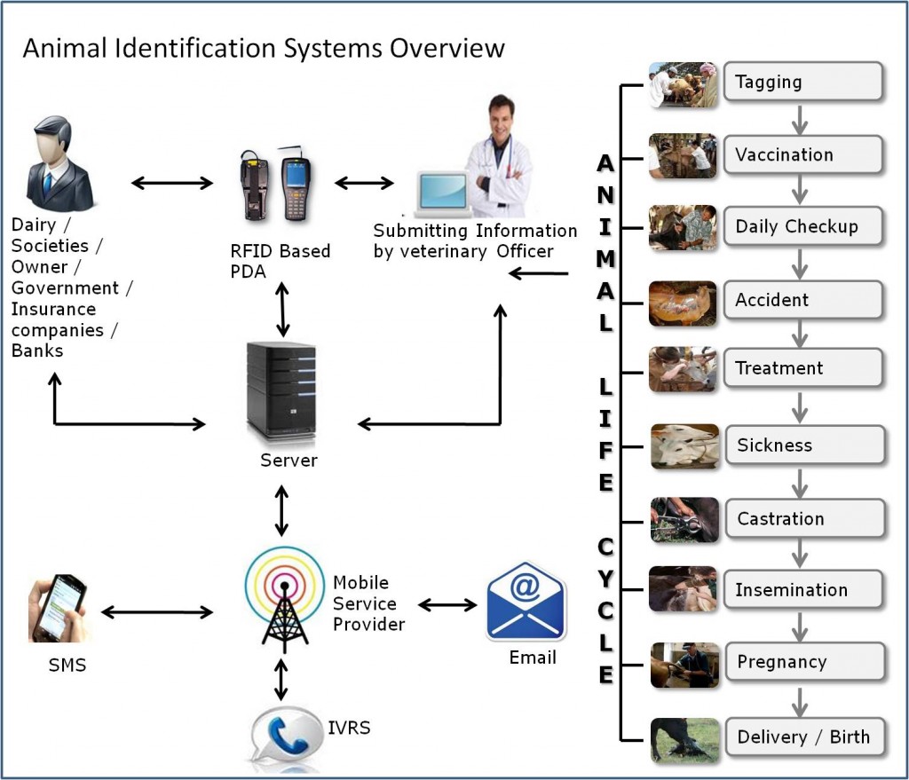 RFID RFID Software RFID Solutions Provider RFID Reader RFID rfid-rfid-software-rfid-solutions-provider-rfid-reader-rfid